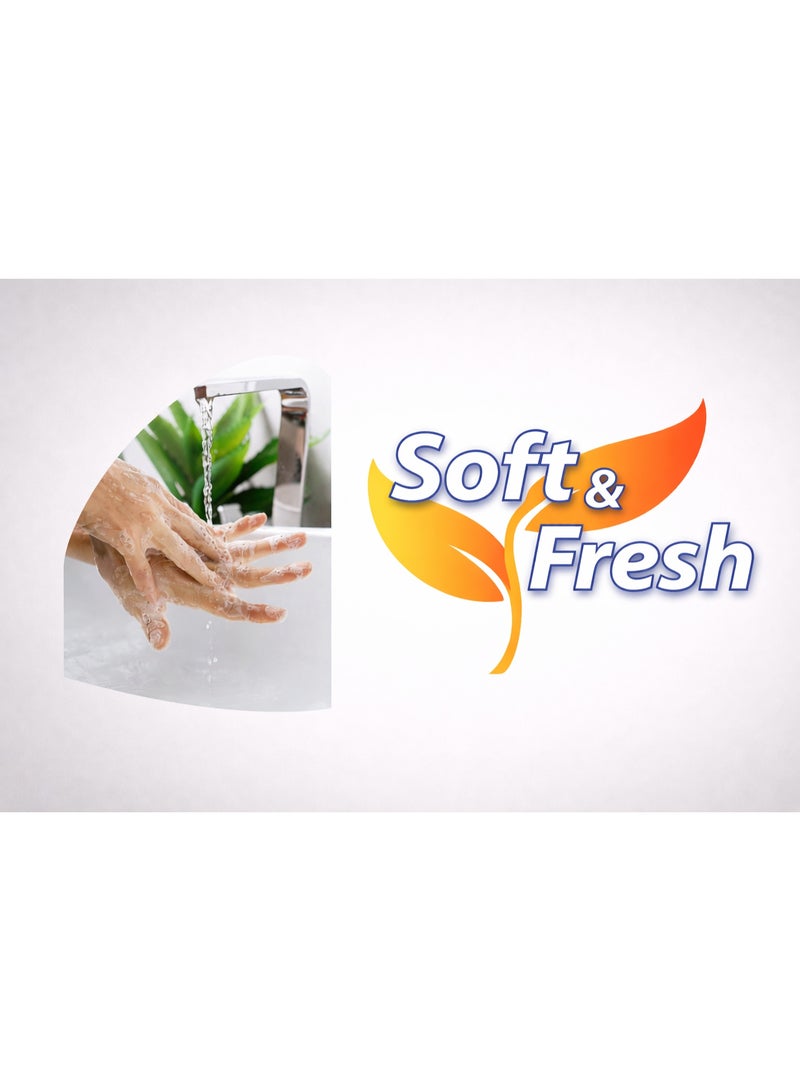 Soft & Fresh Liquid Hand Wash Combo Pack of 4 (Oud, Lemon, Rose & Lavender) | 500 ml Each | Gentle Daily Cleanser | Refreshing & Luxurious Fragrances - Image 3